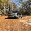 dailen55
